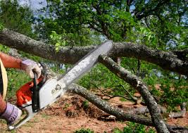 Best Utility Line Clearance  in Richton, MS